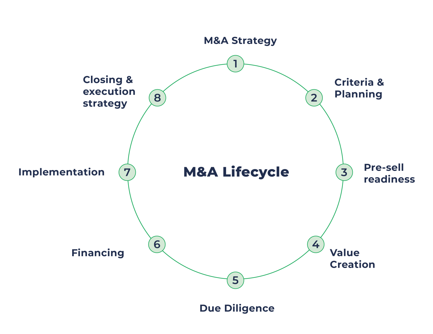 M&A Lifecycle Graphic